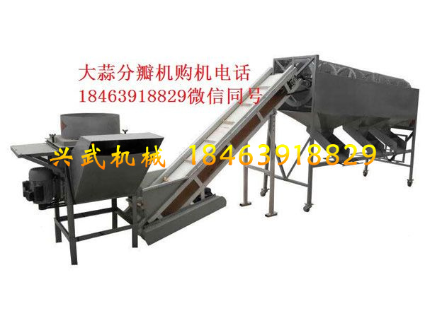 大蒜分瓣分選機(jī).jpg 大蒜分瓣分選機(jī)