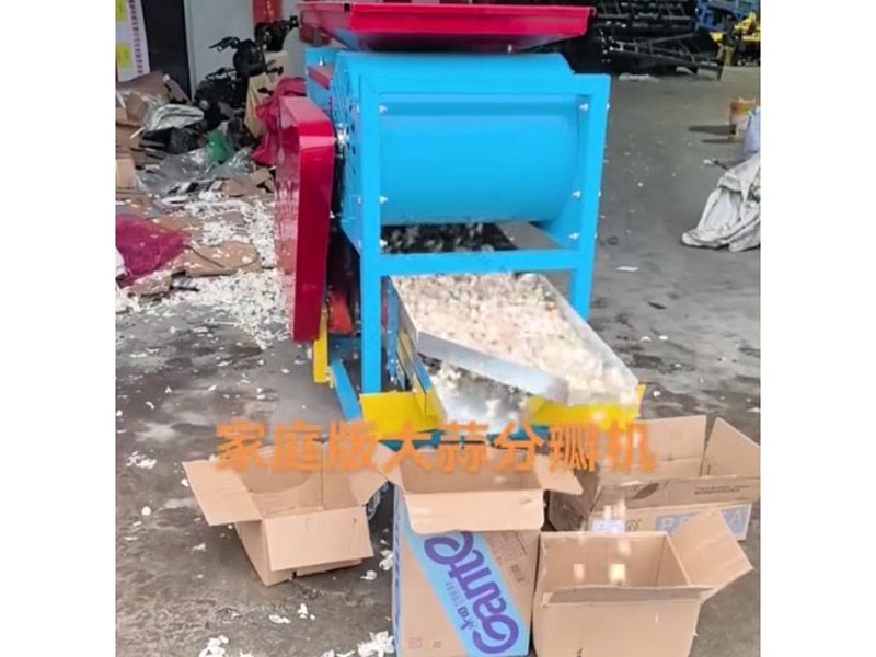 大蒜分瓣分選機(jī)視頻